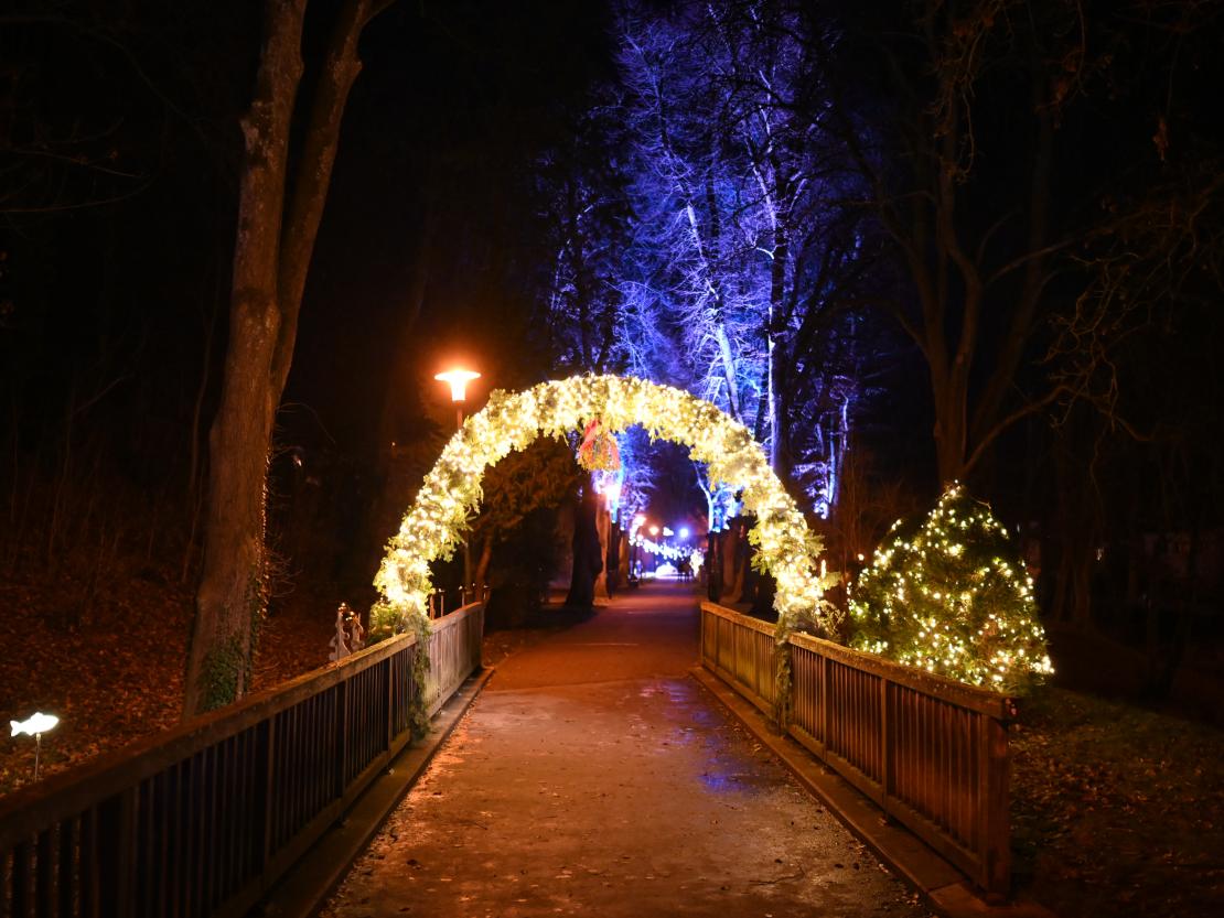 Donauwörth Plätzleweg 2025