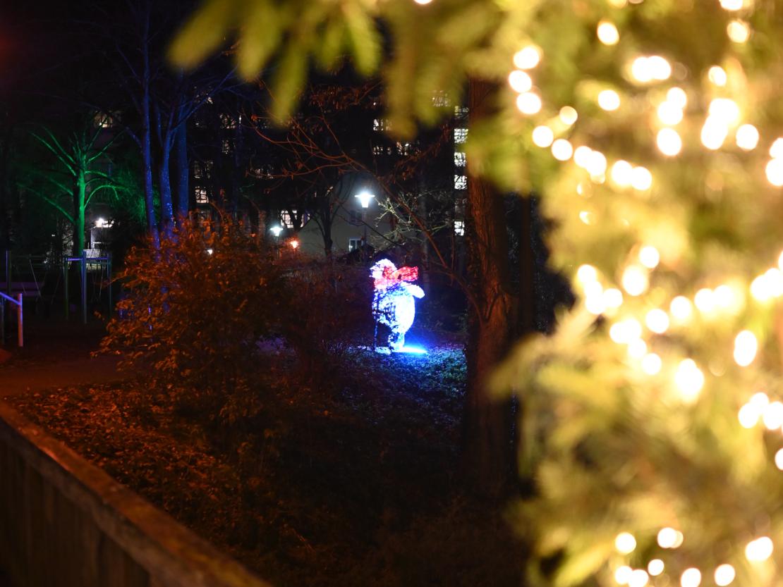 Donauwörth Plätzleweg 2025