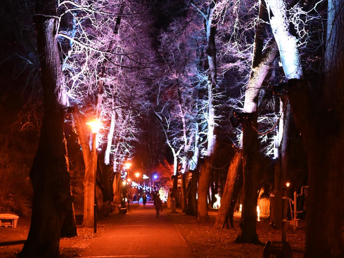 Donauwörth Plätzleweg 2025