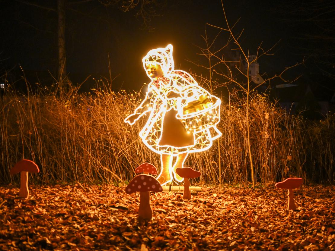 Donauwörth Plätzleweg 2025