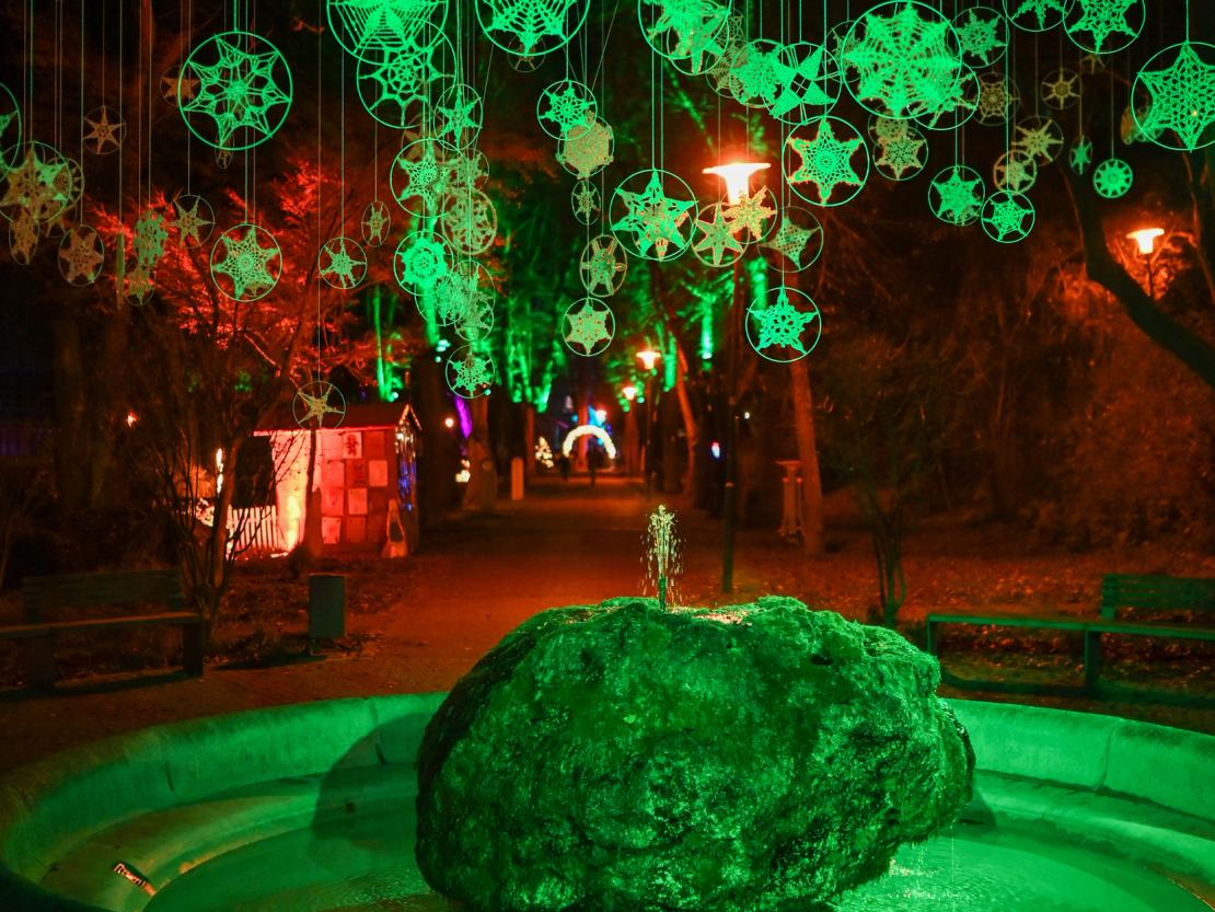 Donauwörth Plätzleweg 2025