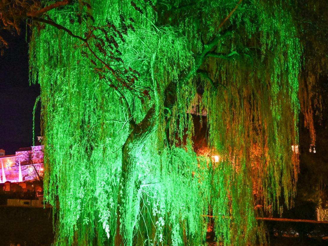 Donauwörth Plätzleweg 2025