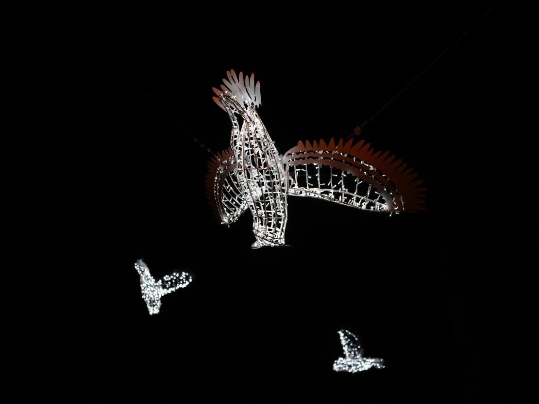 Donauwörth Plätzleweg 2025