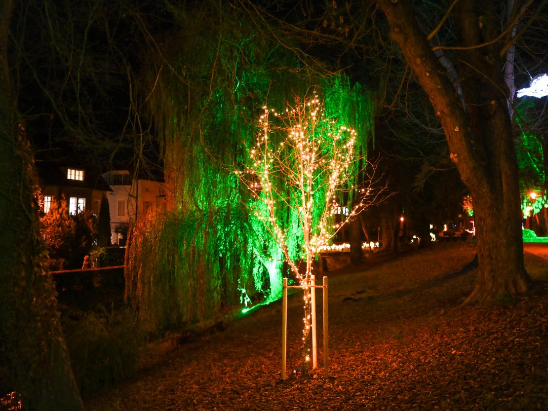 Donauwörth Plätzleweg 2025