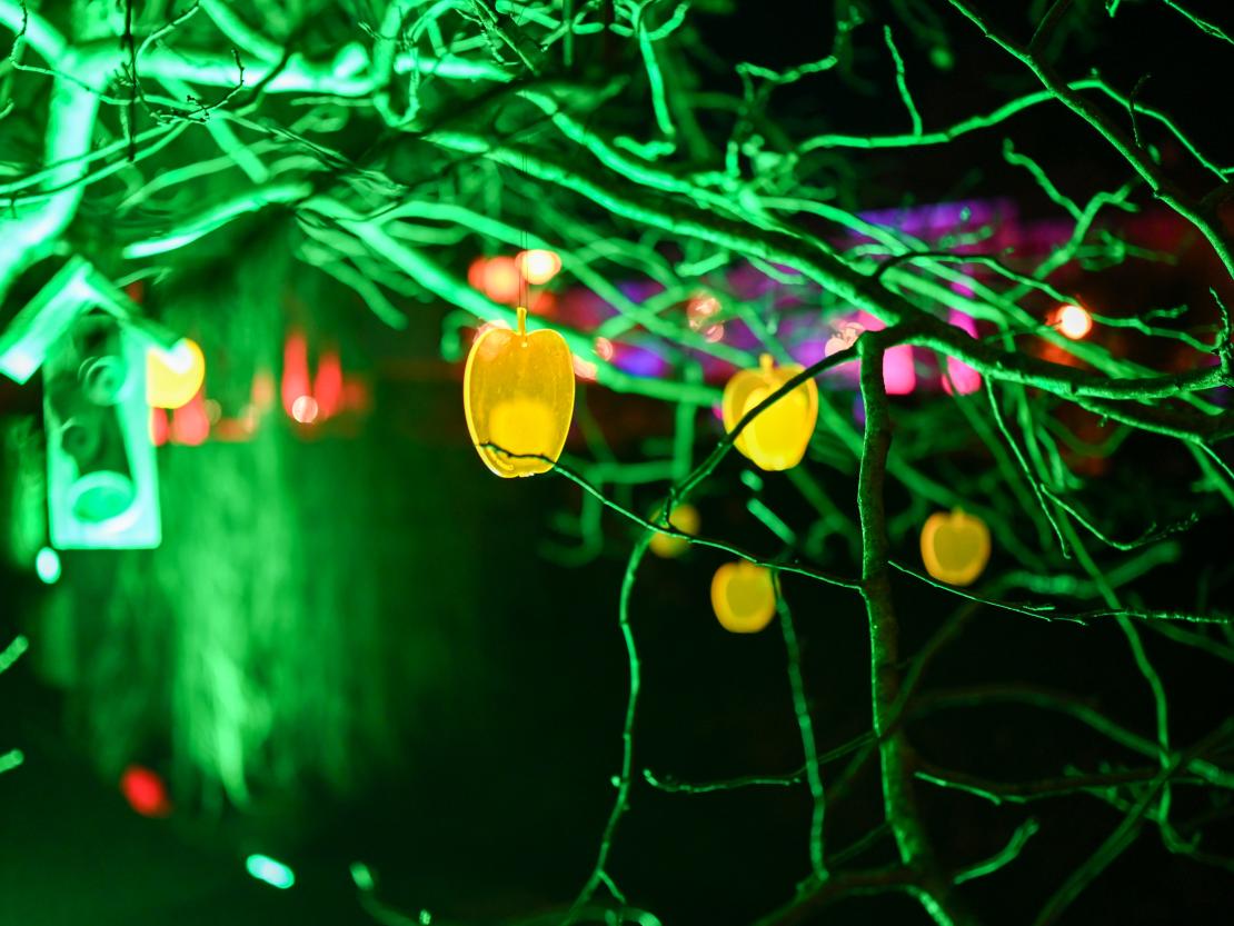 Donauwörth Plätzleweg 2025