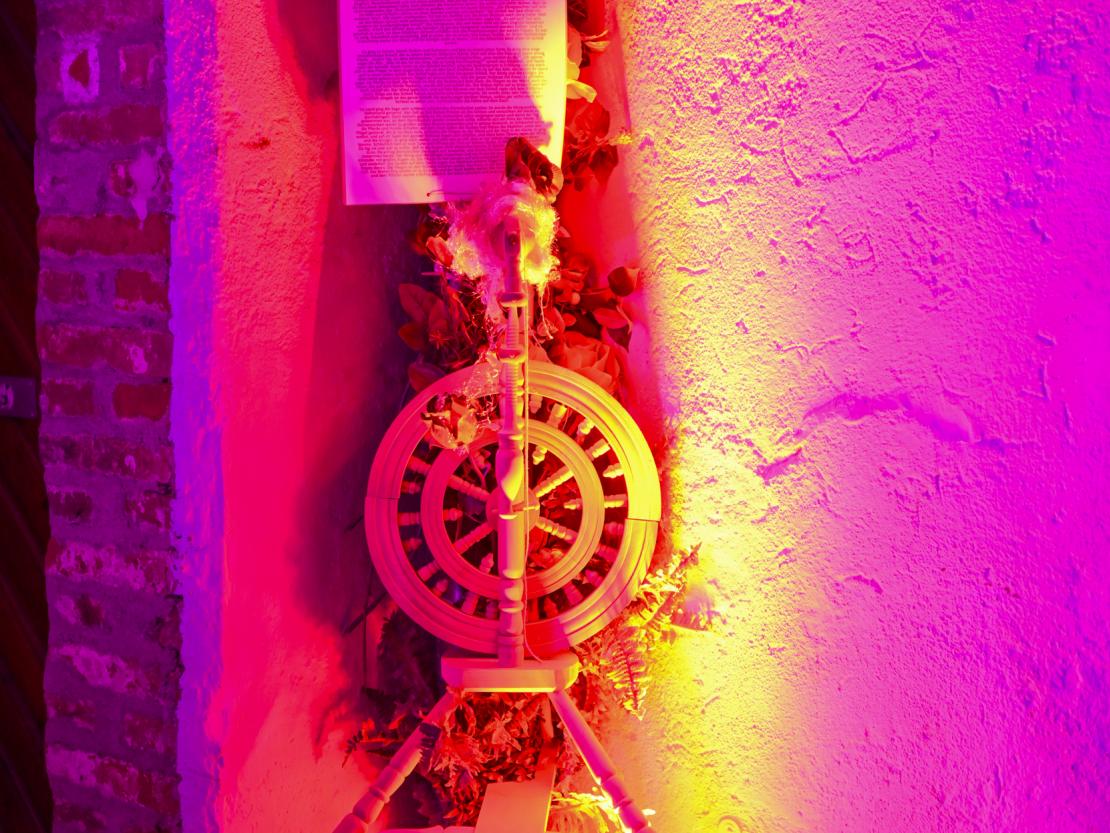 Donauwörth Plätzleweg 2025