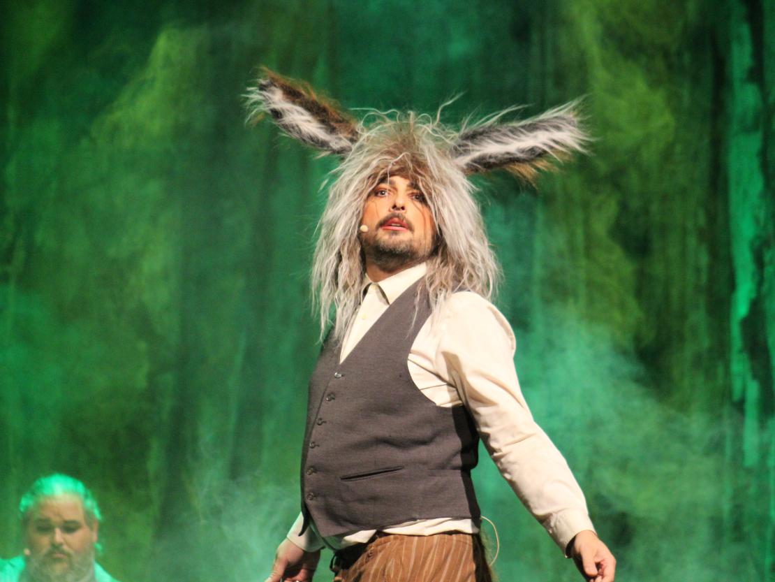 Ein Sommernachtstraum 2025