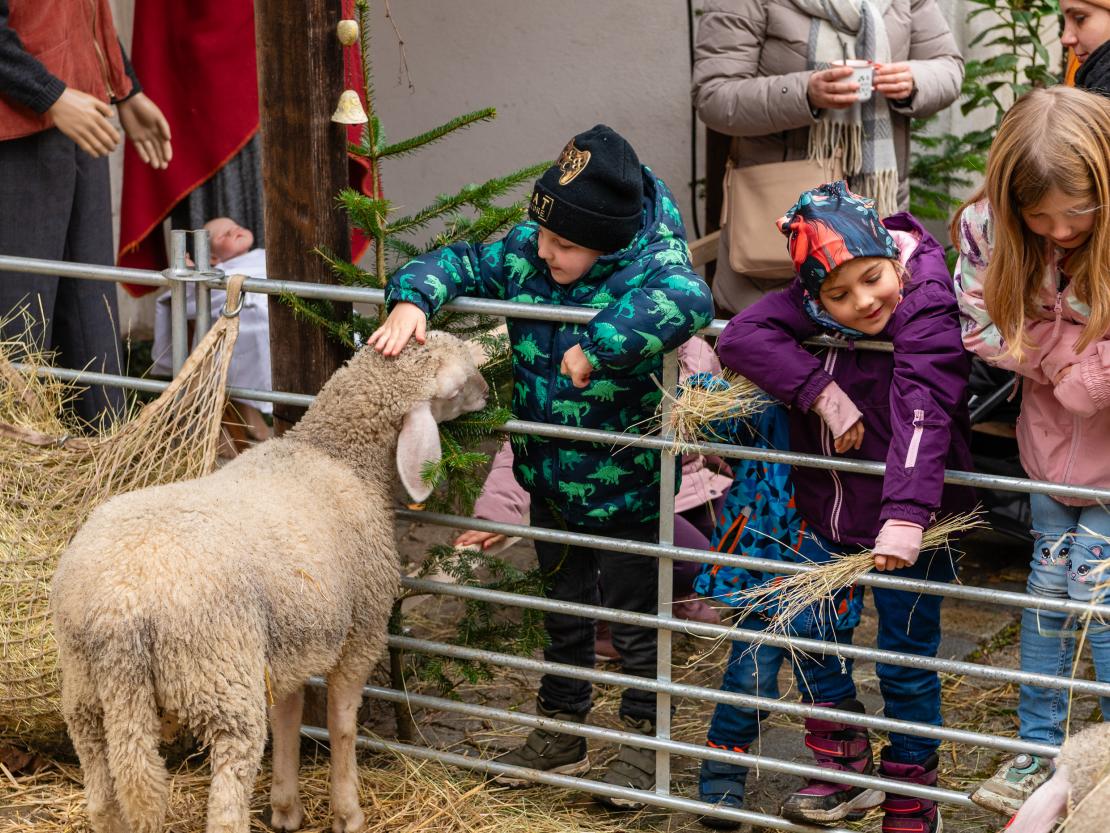 Selber g'macht Weihnacht 2025