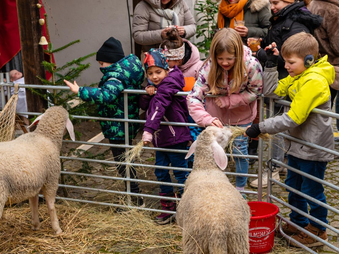 Selber g'macht Weihnacht 2025