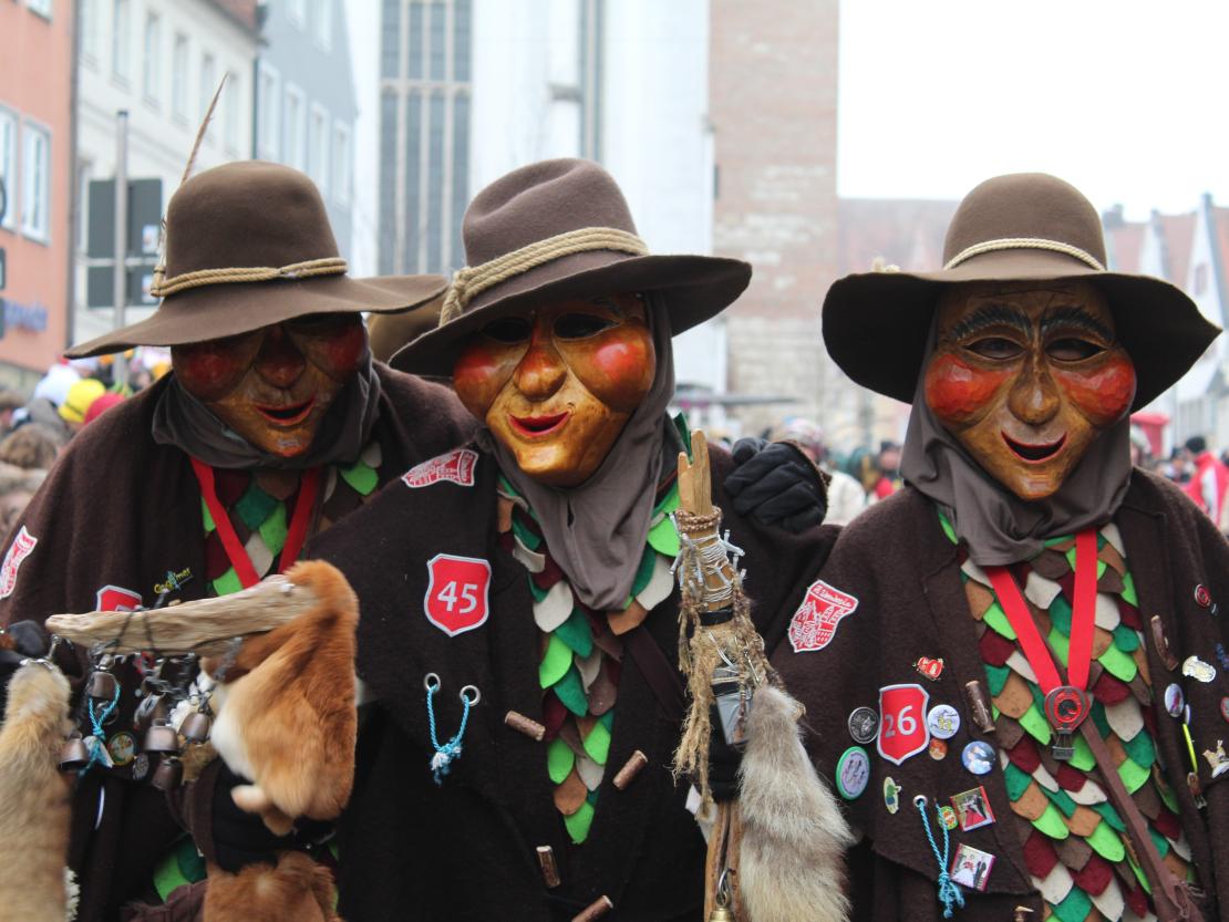 Faschingsumzug Donauwörth