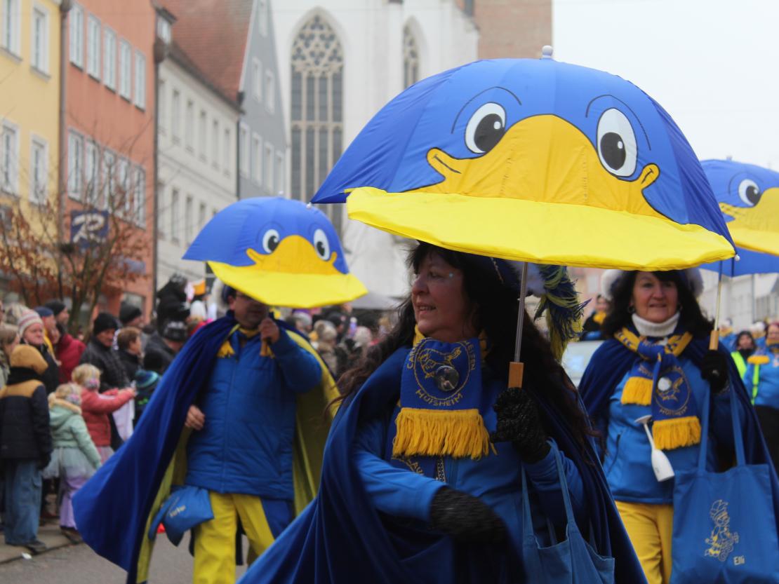Faschingsumzug Donauwörth 2026