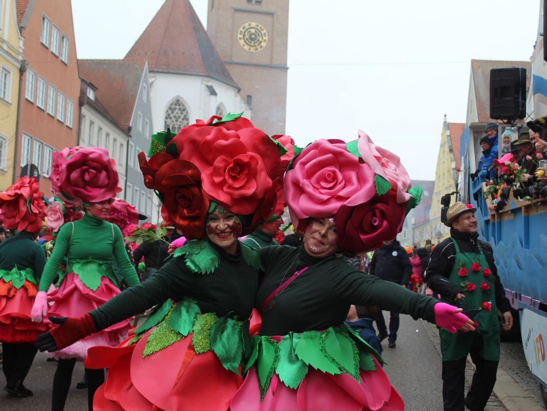 Faschingsumzug Donauwörth 2026