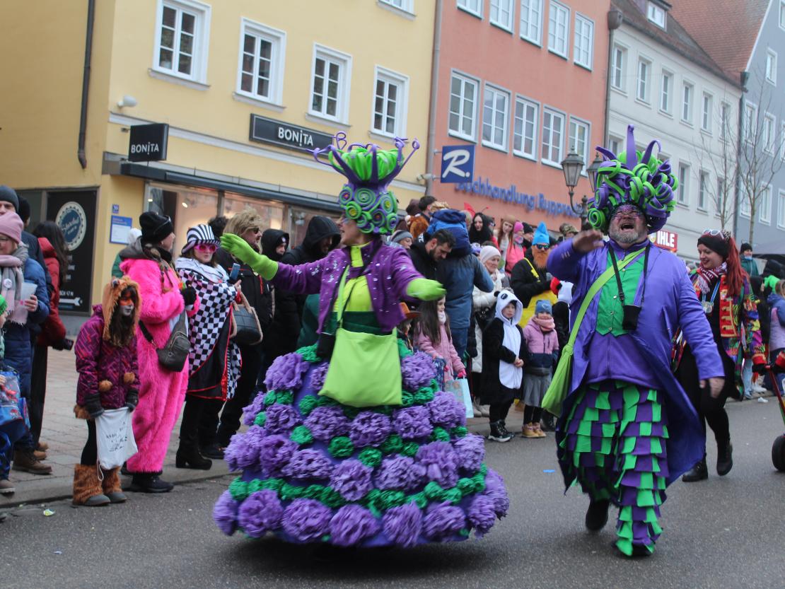 Faschingsumzug Donauwörth 2026