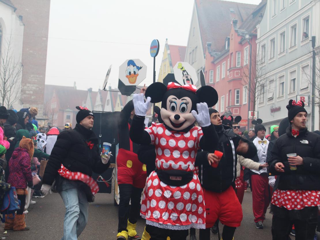 Faschingsumzug Donauwörth 2026