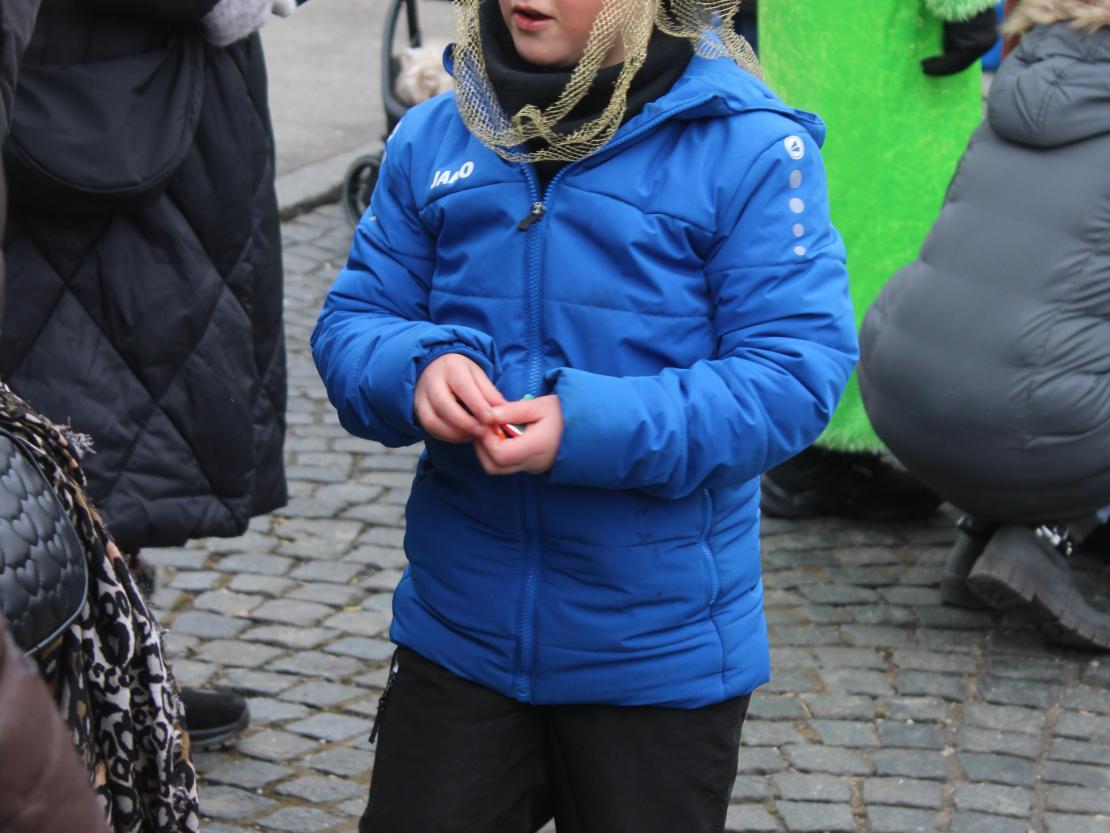 Faschingsumzug Mertingen 2026