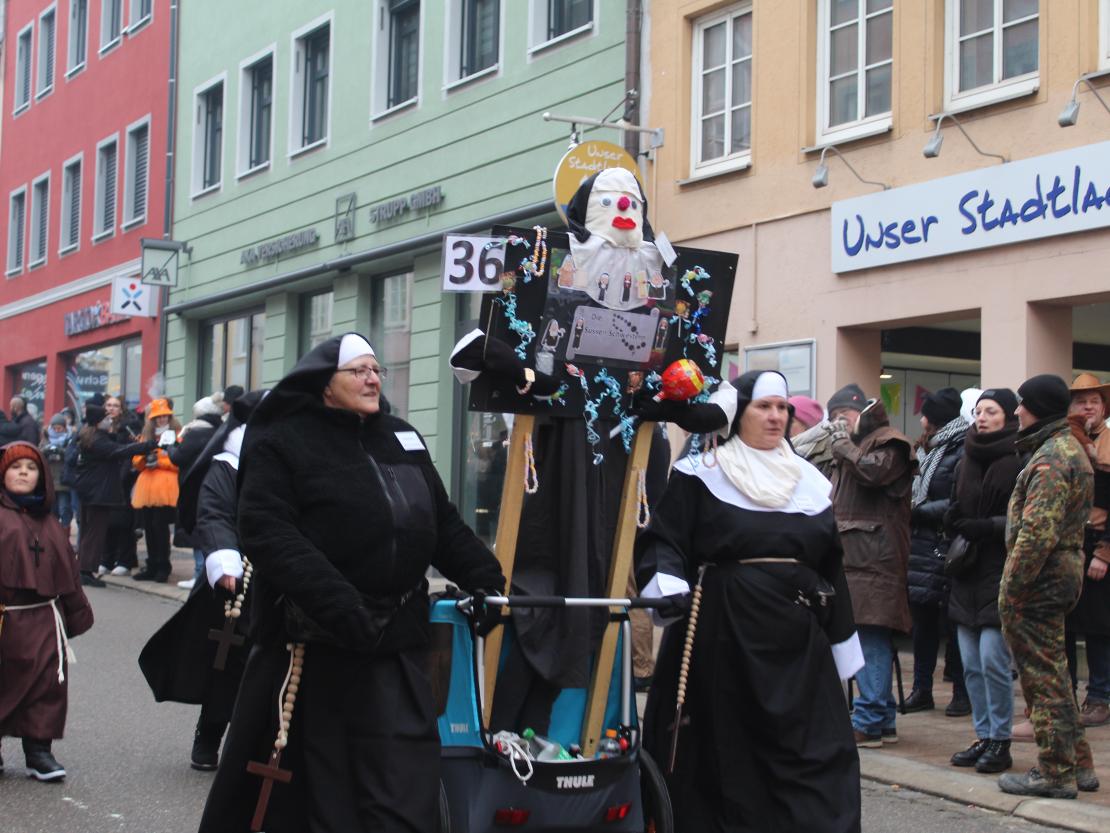 Faschingsumzug Donauwörth 2026