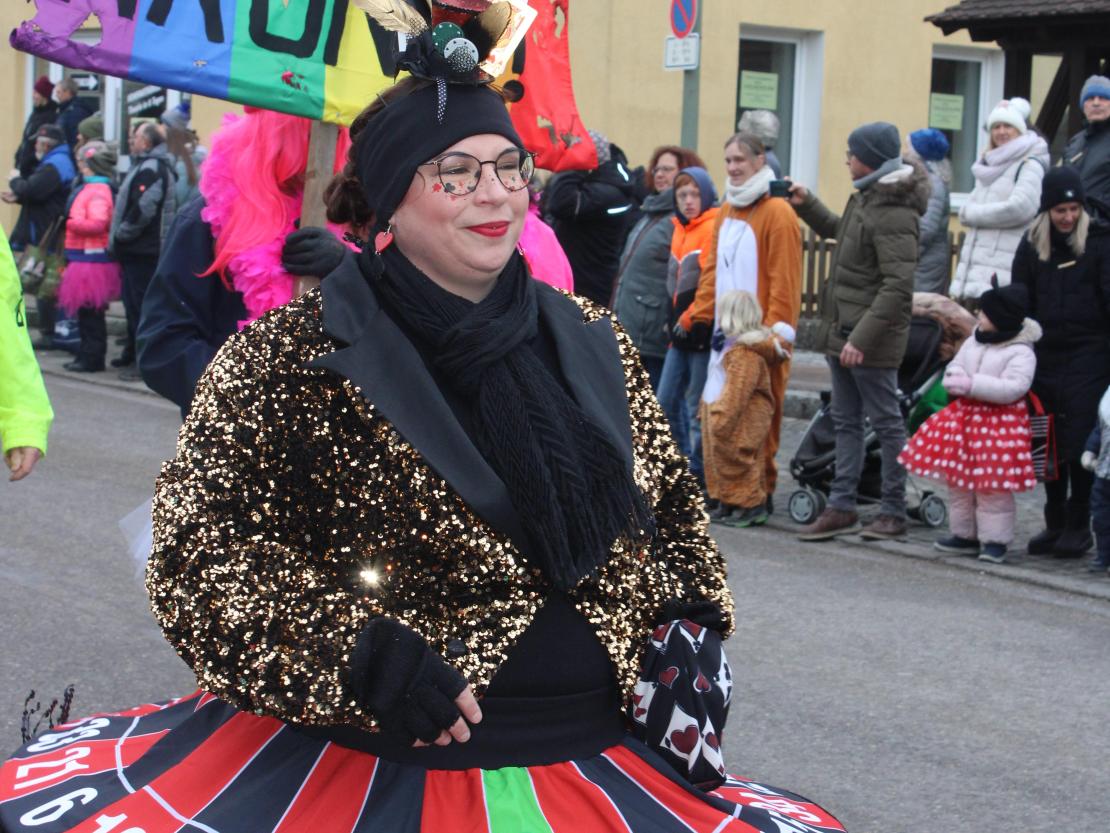 Faschingsumzug Mertingen 2026