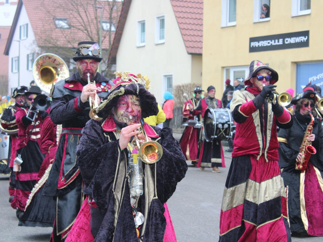 Faschingsumzug Mertingen 2026