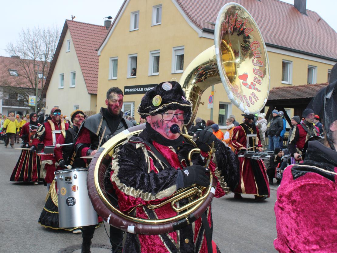 Faschingsumzug Mertingen 2026