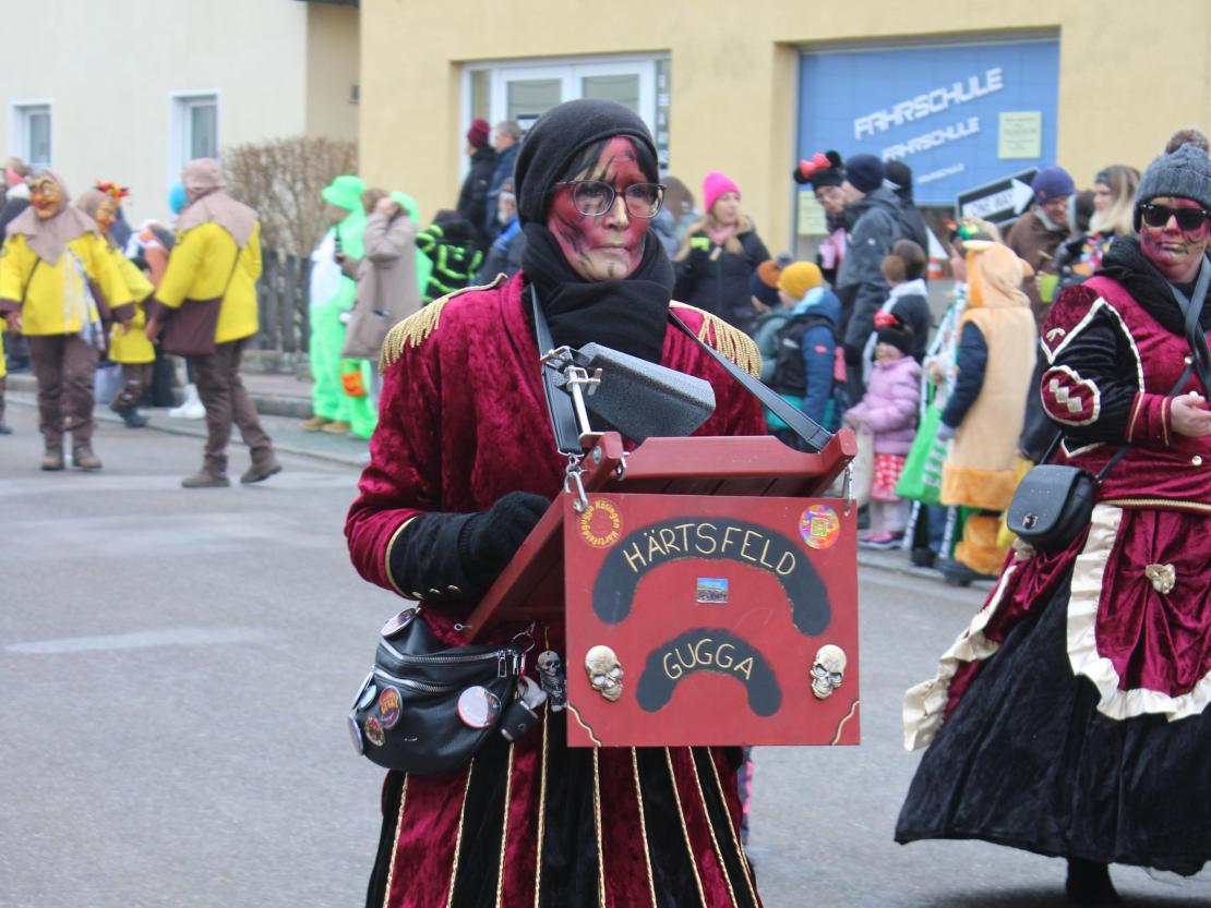 Faschingsumzug Mertingen 2026
