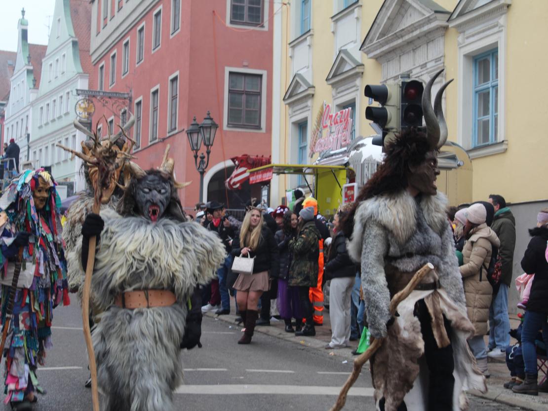 Faschingsumzug Donauwörth 2026