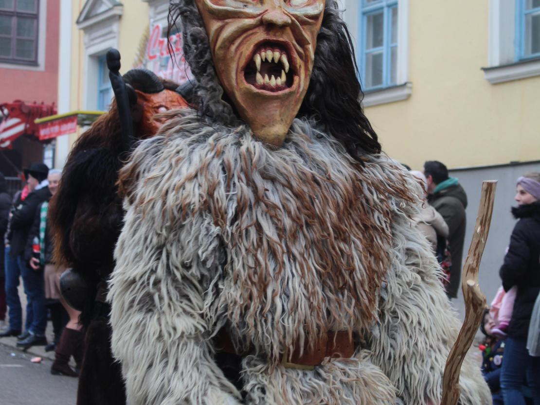 Faschingsumzug Donauwörth 2026