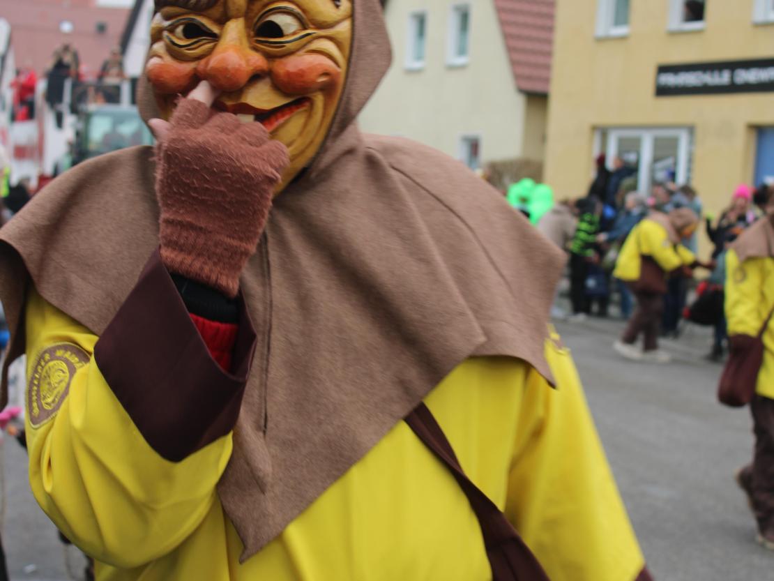 Faschingsumzug Mertingen 2026
