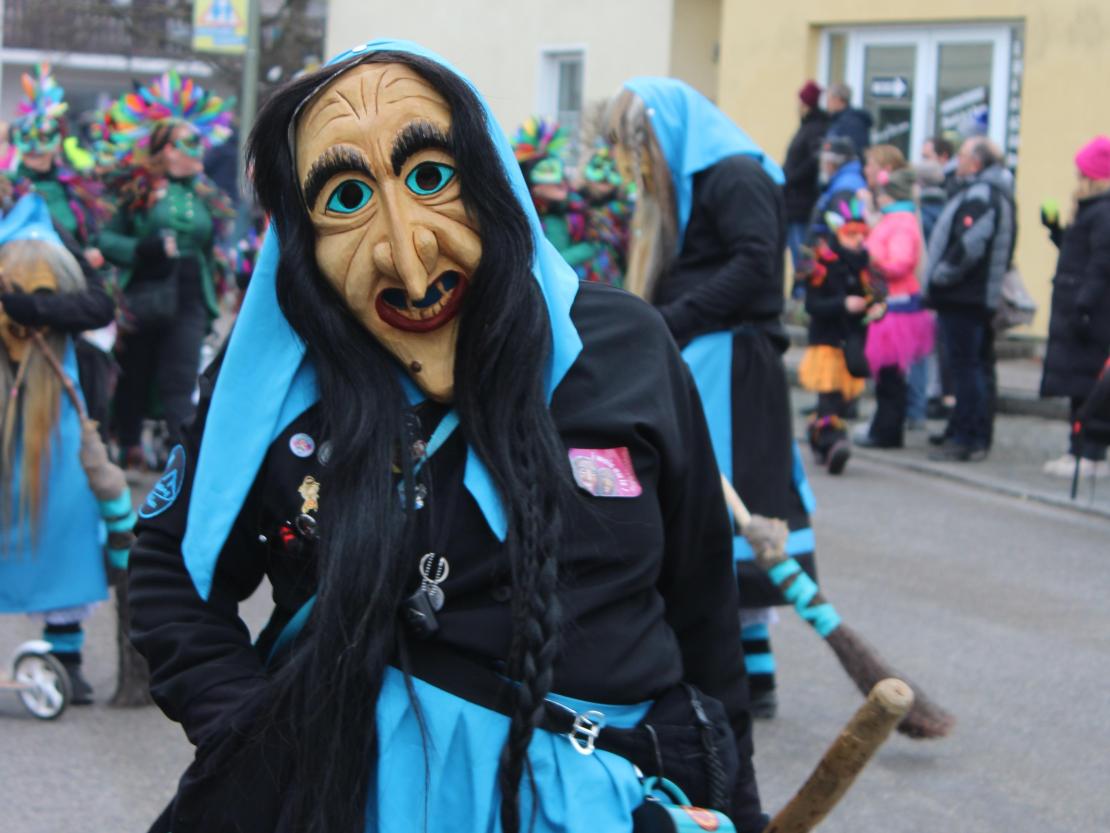 Faschingsumzug Mertingen 2026