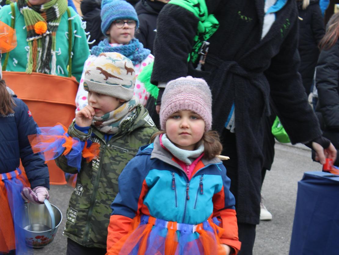Faschingsumzug Mertingen 2026