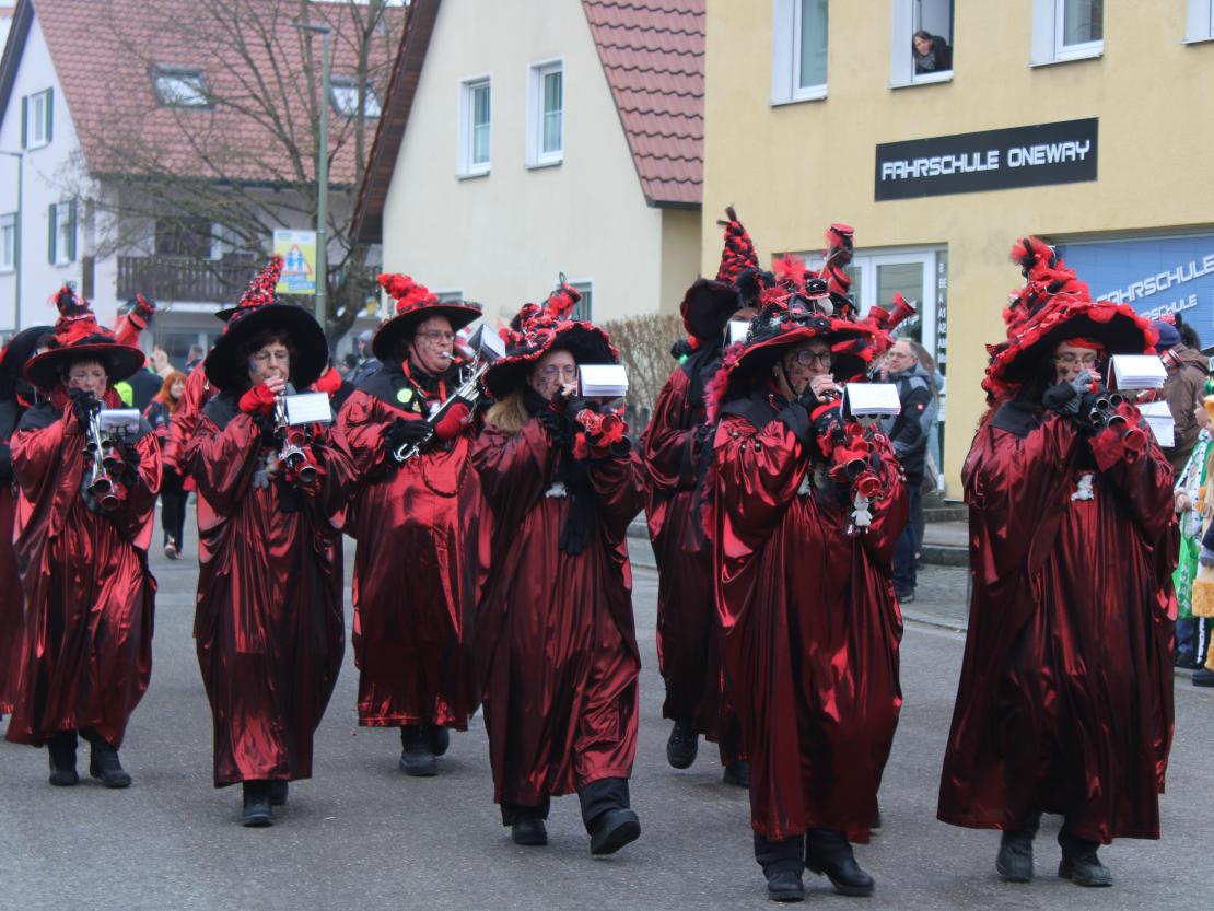 Faschingsumzug Mertingen 2026