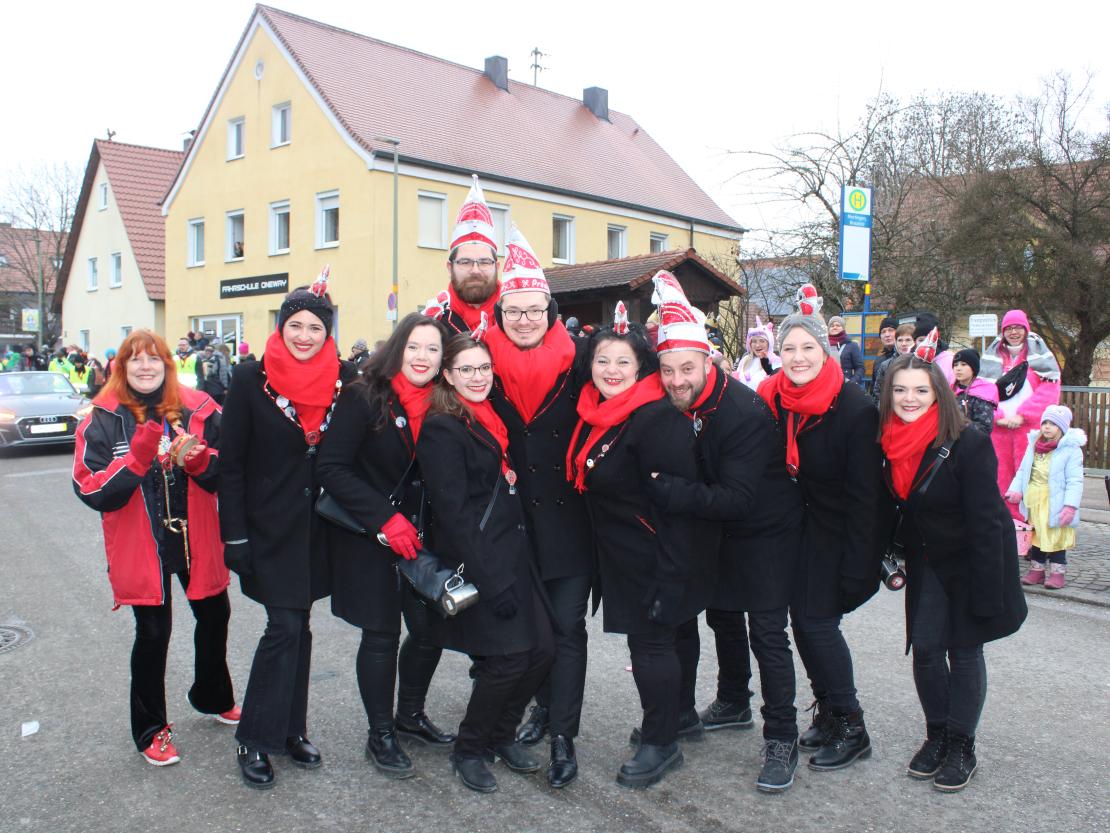 Faschingsumzug Mertingen 2026