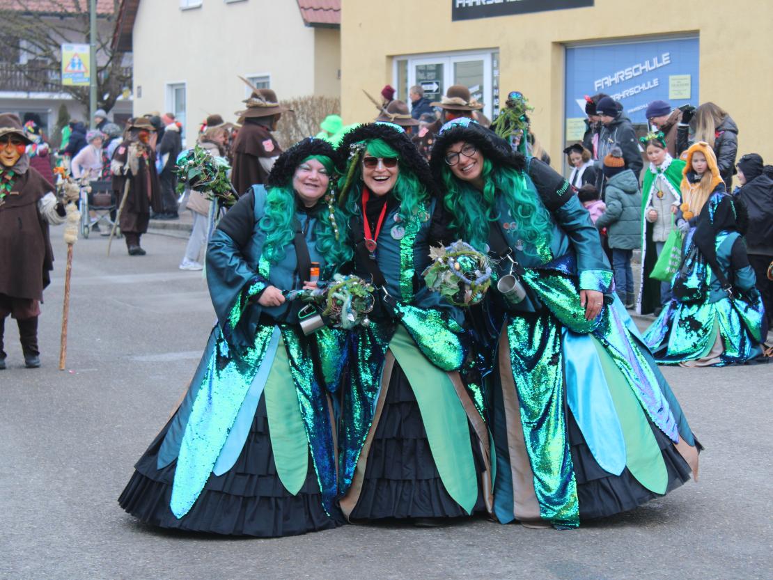 Faschingsumzug Mertingen 2026