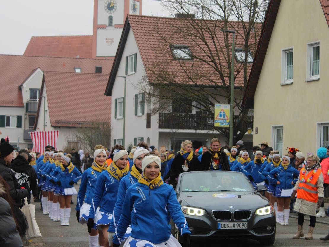 Faschingsumzug Mertingen 2026