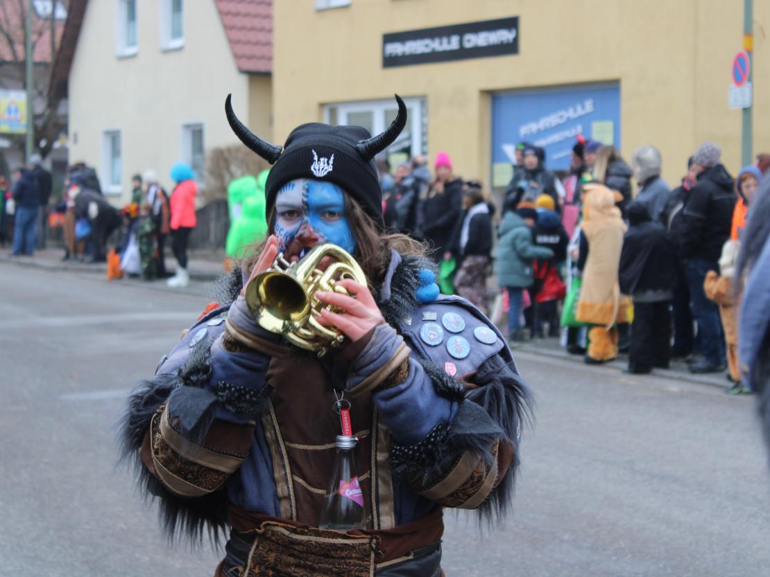 Faschingsumzug Mertingen 2026