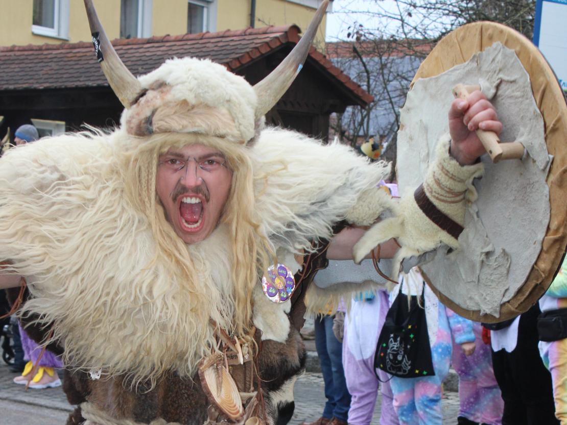 Faschingsumzug Mertingen 2026