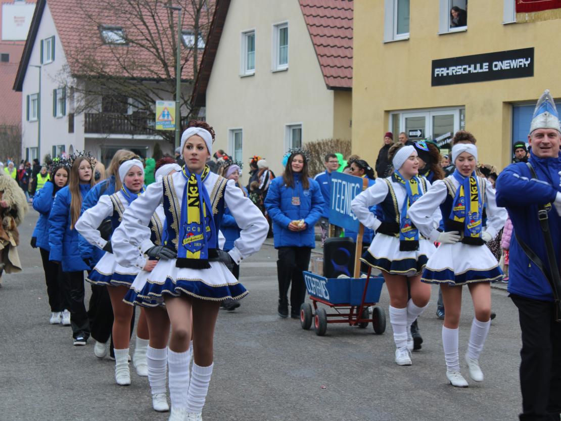 Faschingsumzug Mertingen 2026