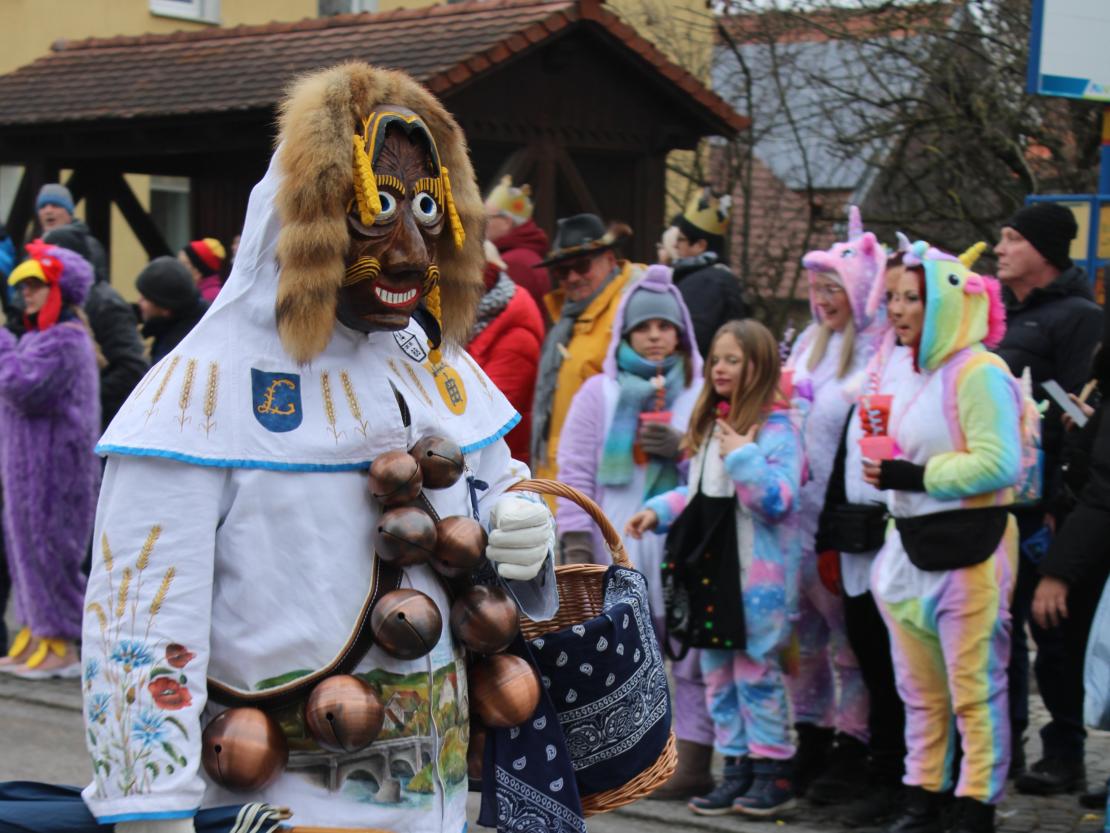 Faschingsumzug Mertingen 2026