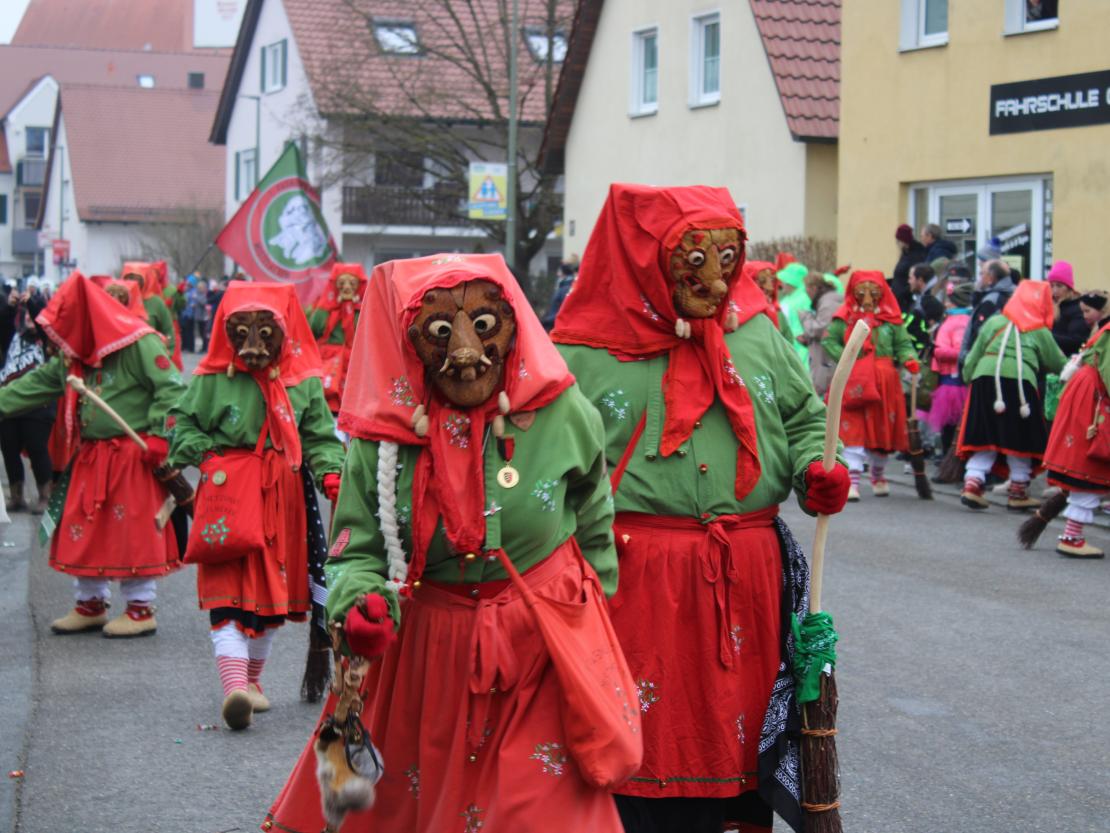 Faschingsumzug Mertingen 2026