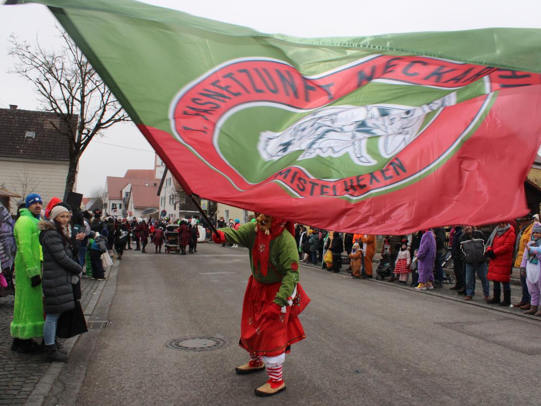 Faschingsumzug Mertingen 2026