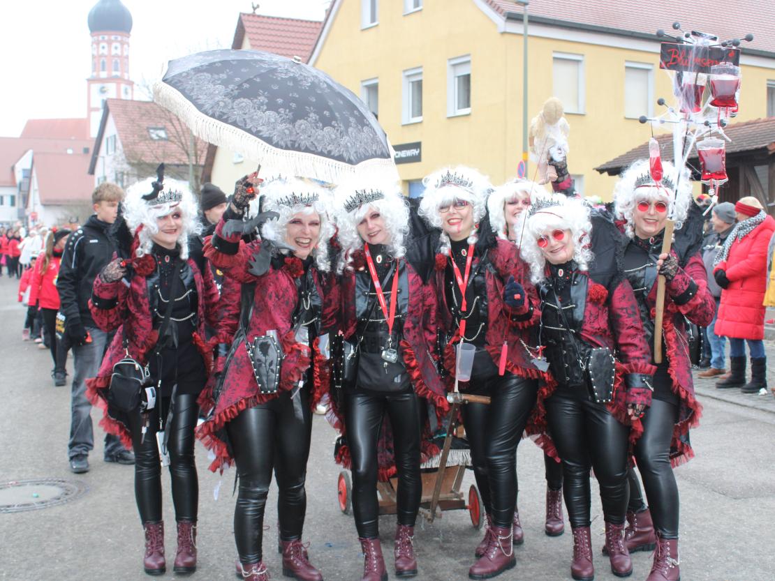 Faschingsumzug Mertingen 2026