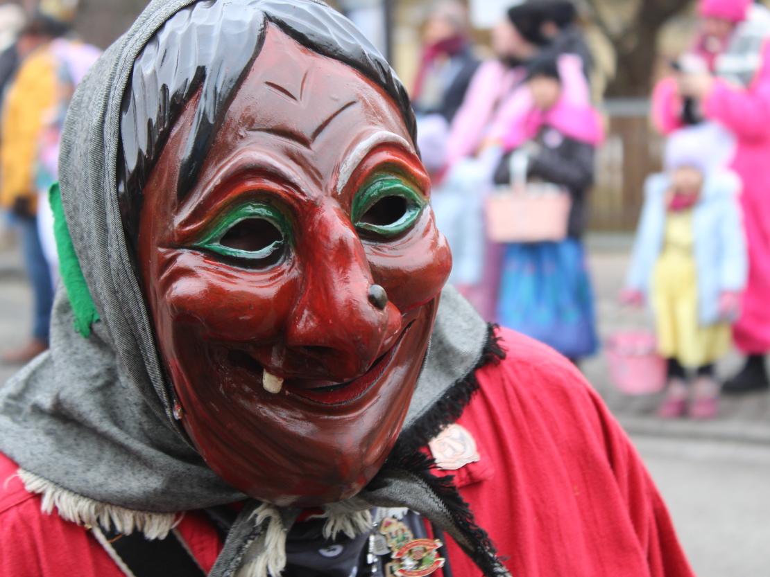 Faschingsumzug Mertingen 2026