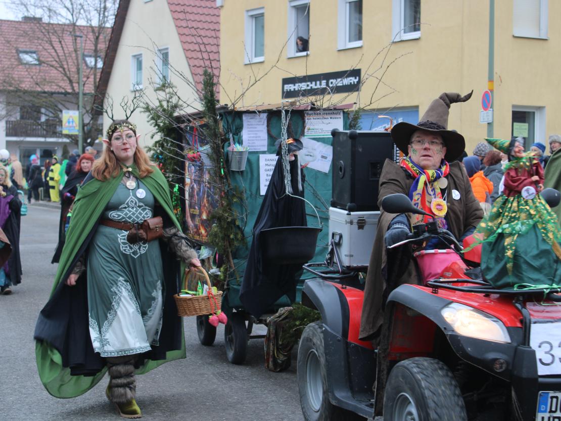 Faschingsumzug Mertingen 2026