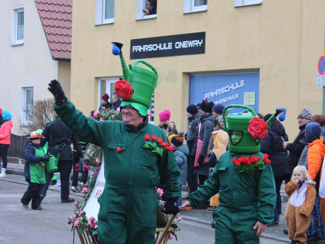 Faschingsumzug Mertingen 2026
