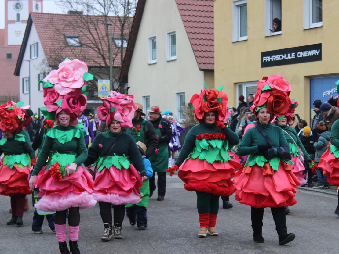 Faschingsumzug Mertingen 2026