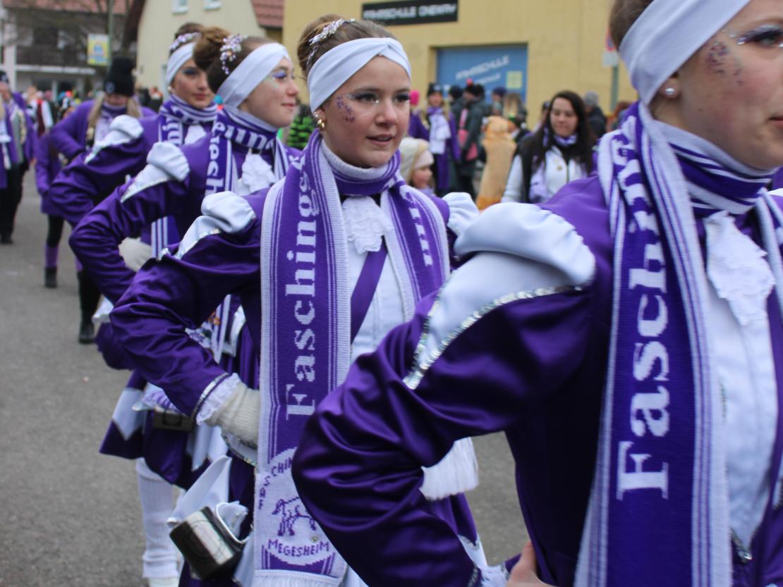 Faschingsumzug Mertingen 2026