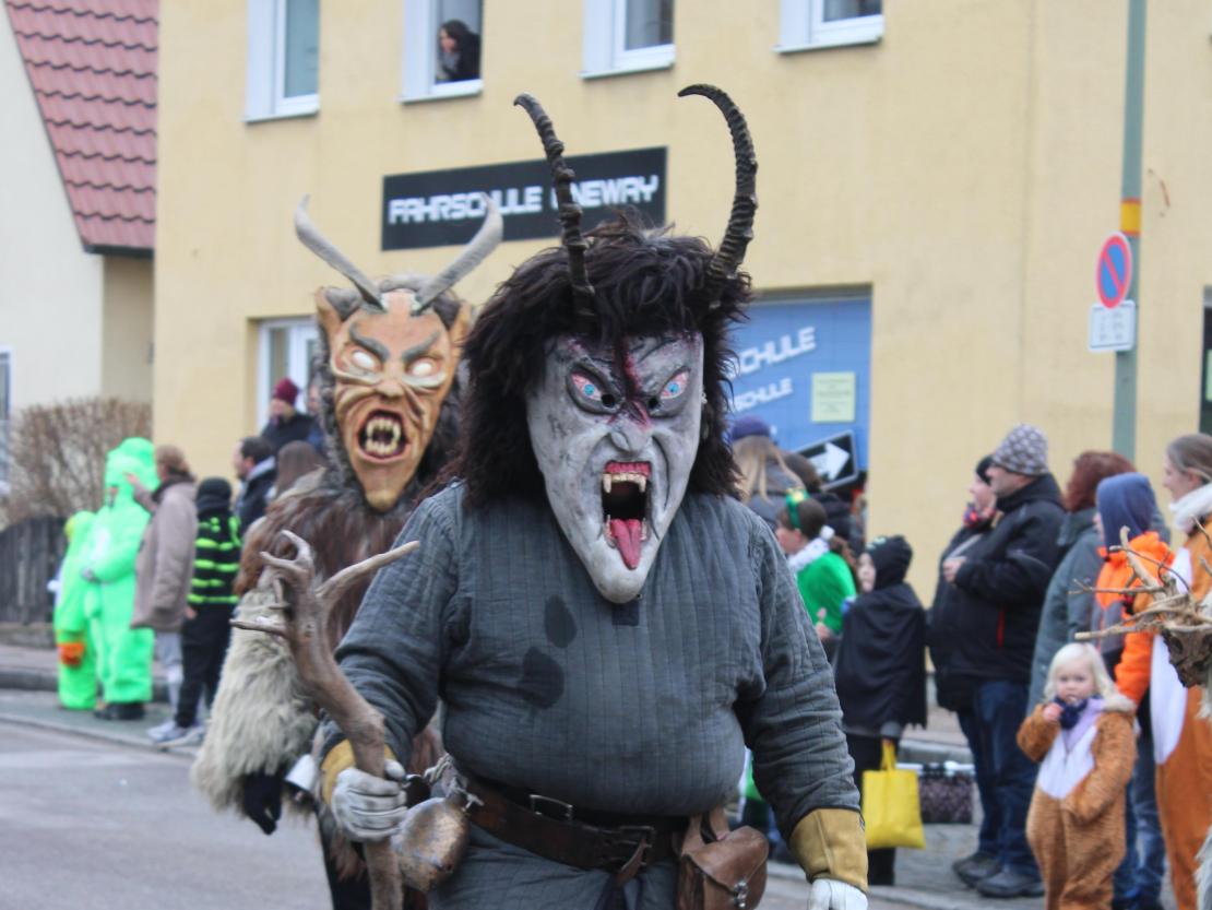 Faschingsumzug Mertingen 2026