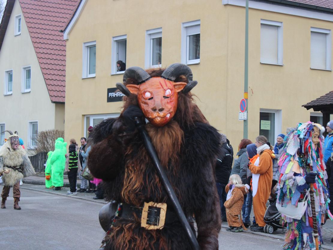 Faschingsumzug Mertingen 2026