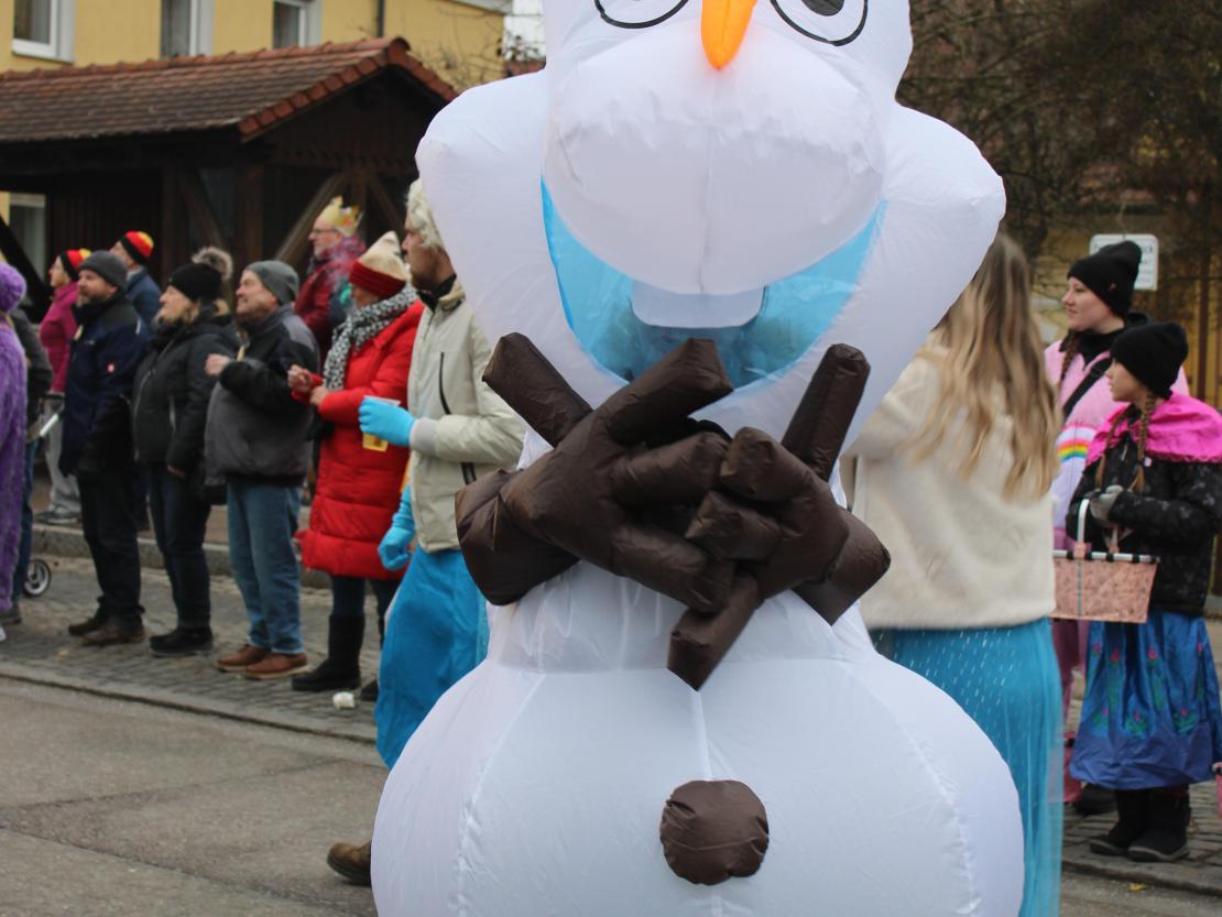 Faschingsumzug Mertingen 2026