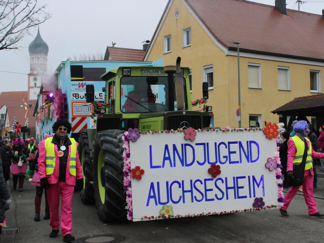 Faschingsumzug Mertingen 2026