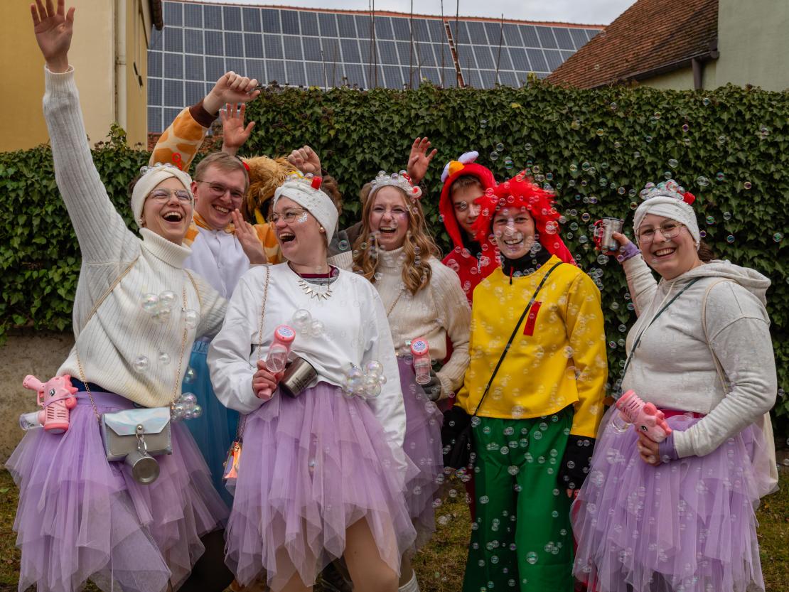 Faschingsumzug Megesheim